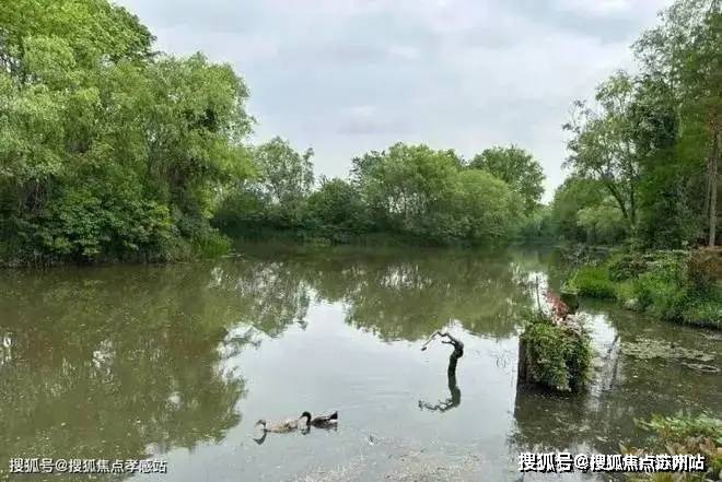 2025楼盘测评-售楼处欢迎您_最新房价户型m6米乐鑫湾甲邸售楼处-鑫湾甲邸-首页网站-(图6)