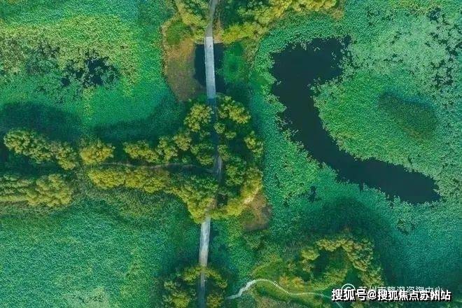 测-鹿溪雅园售楼中心详情户型 小区配套鹿溪雅园售楼处欢迎您 2025楼盘评(图32)
